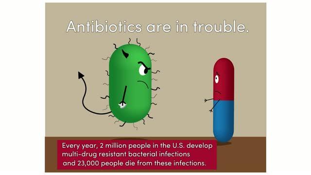 Bacteria-Drug Stand Off
