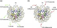 DNA Unwrapped