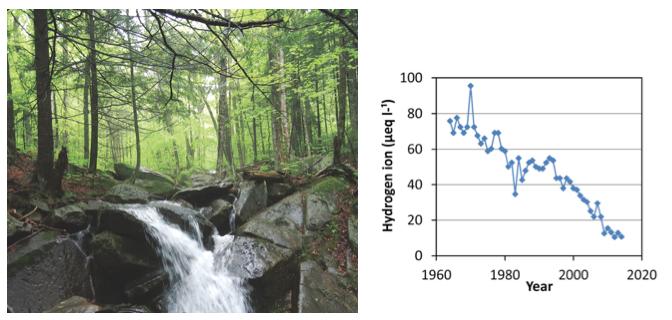 Hubbard Brook Experimental Forest