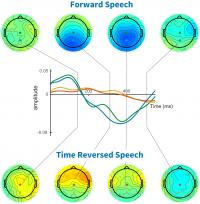 The Brain Signal