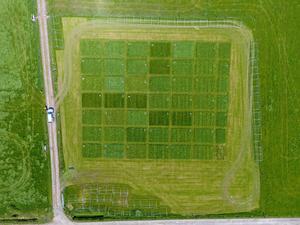 Aerial view of the plots from the first LegacyNet experiment.