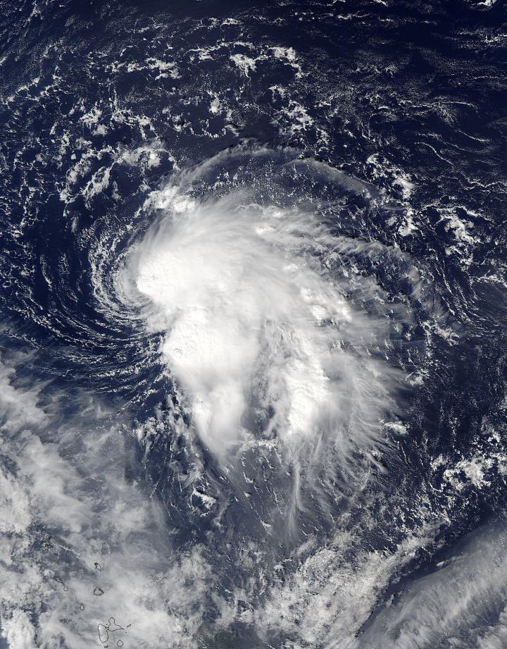 Aqua Image of Nicole