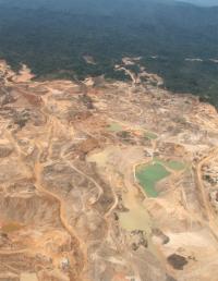 Gold Mine