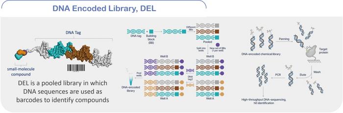 2. Schematic Diagram of a DNA-Encoded Library