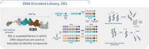 2. Schematic Diagram of a DNA-Encoded Library