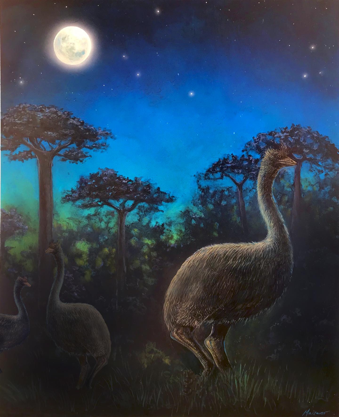 Elephant Bird Painting