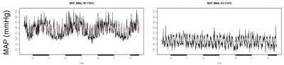 Clock Gene Disruption