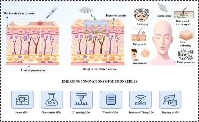 Graphical Abstract
