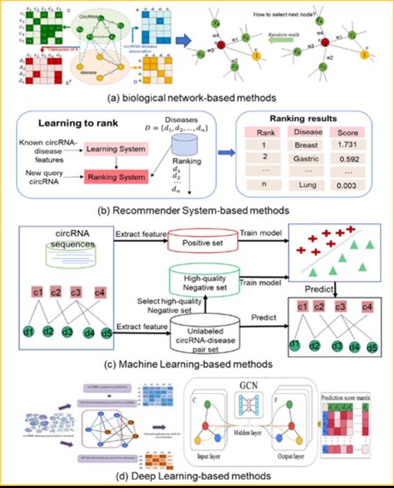 Four groups of computational methods for circRNA-disease prediction