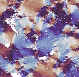 One area of research within the training network is systems made up of dense active matter (shown in this illustration) as models for tissue and colonies of cells.