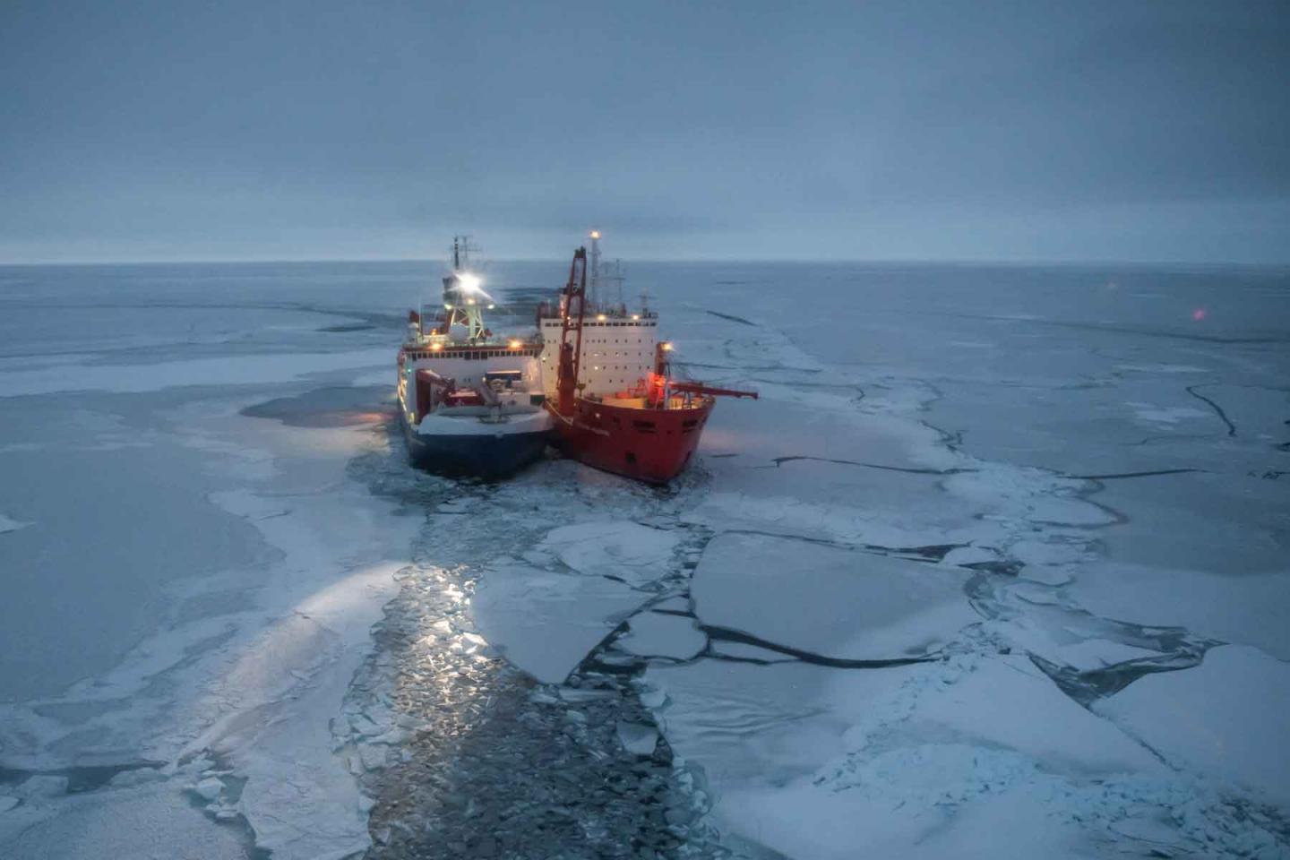Arctic Ocean