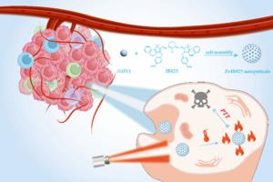 This material can be applied in the field of biomedical nanomaterials.