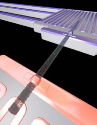 Silicon Nanowires (2 of 2)