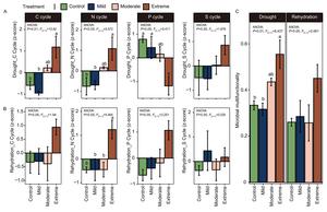 Shifting from biotic to abiotic drivers of urban microbial multifunctionality under drought and rehydration
