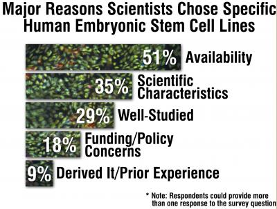Why Researchers Use Certain Human Embryonic Stem Cell Lines