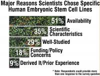 Why Researchers Use Certain Human Embryonic Stem Cell Lines