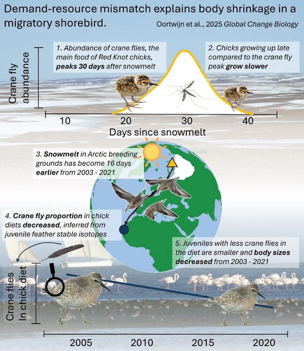 Graphical Abstract