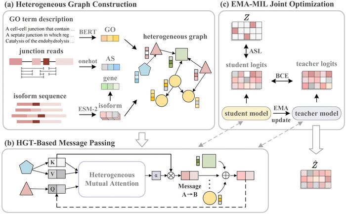 Figure 1. Overall architecture of the SpliceEM framework