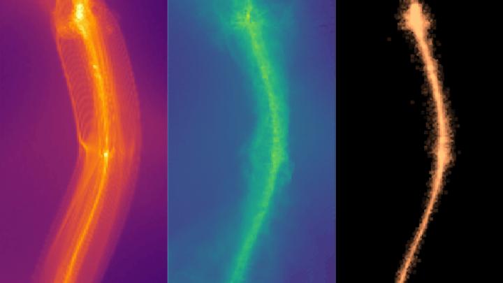 Distribution of Dark Matter Gas