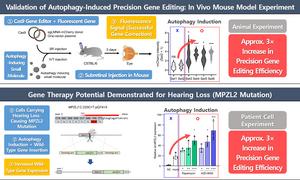 [2] Validation of Autophagy-Enhanced Precision Gene Editing in Patient-Derived Cells and In Vivo Mouse Models