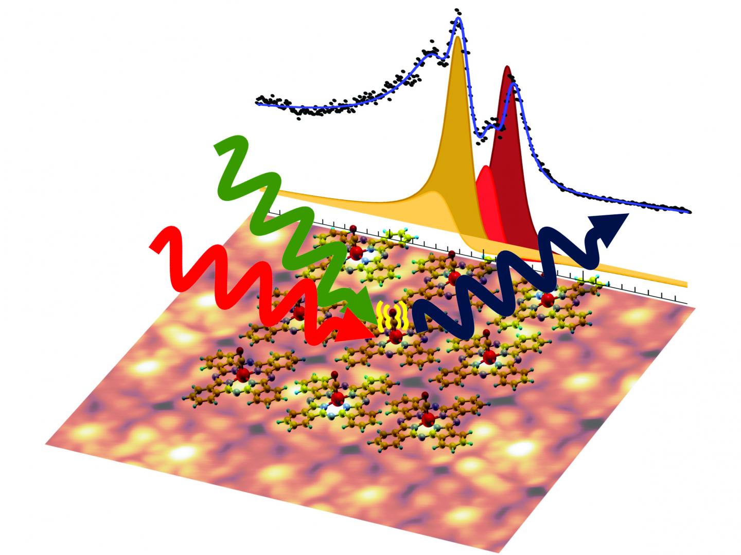 Scanning Tunneling Microscope Picture