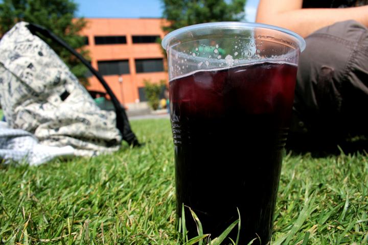 Starting Drinking Alcohol during Puberty Is Associated with Future Psychological Disorders