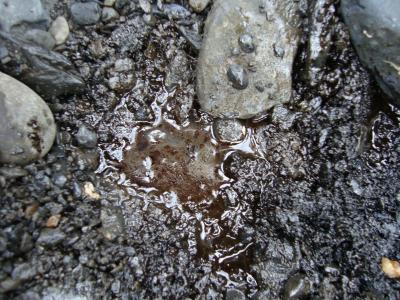 Oily Beach