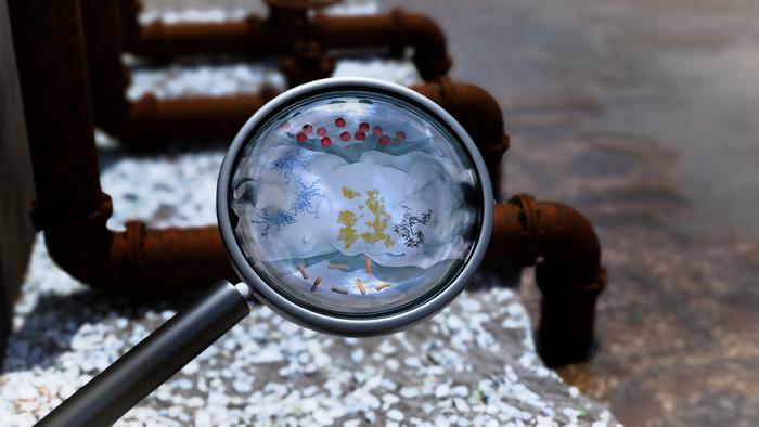 Wastewater surveillance tracks spread of antibiotic resistance