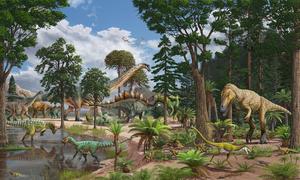 Ecosystem reconstruction of the Late Jurassic Dry Mesa Dinosaur Quarry