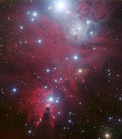 NGC 2264 and the Christmas Tree Cluster