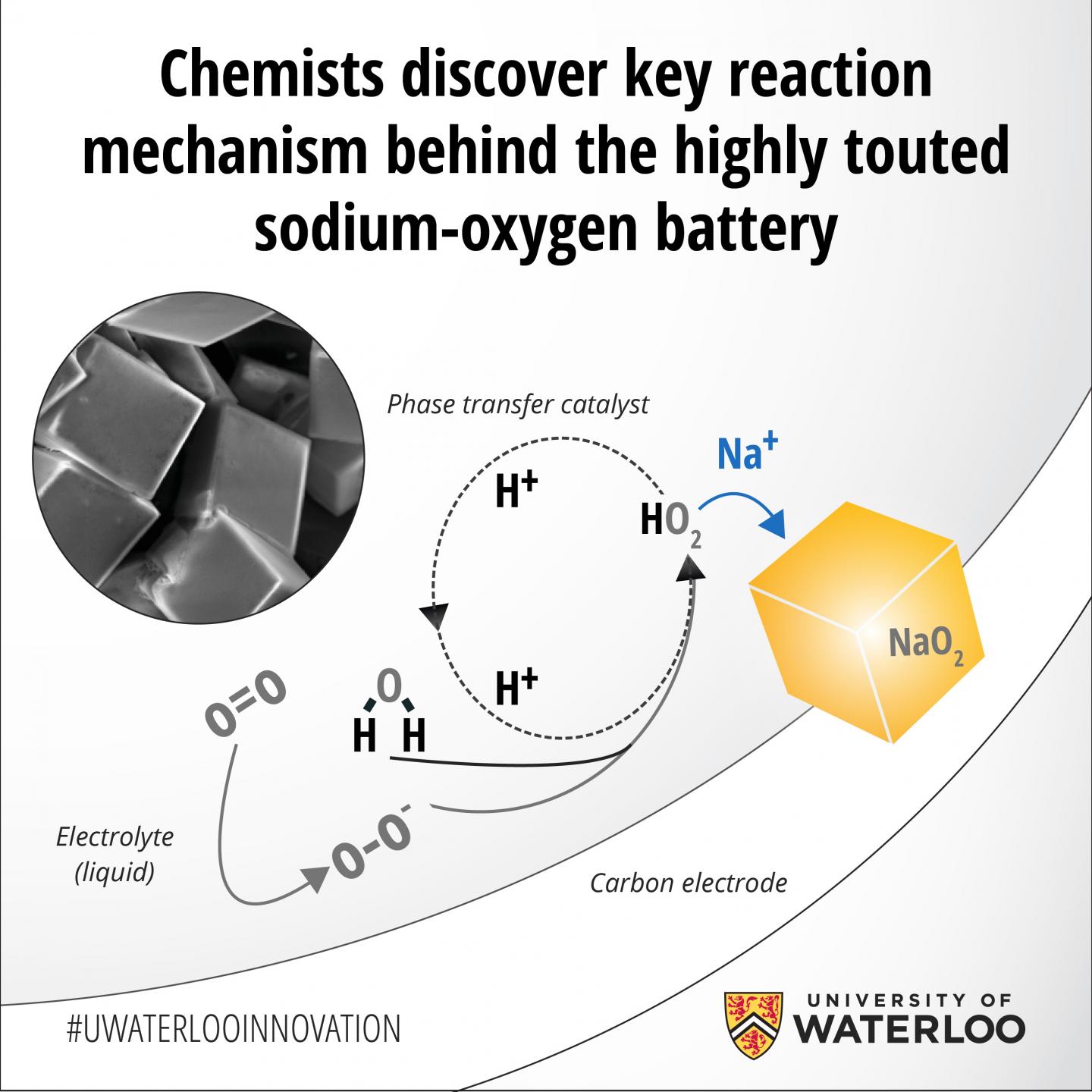 Key Reaction Mechanism
