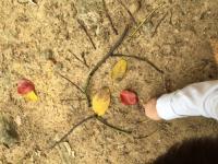 Connection to Nature