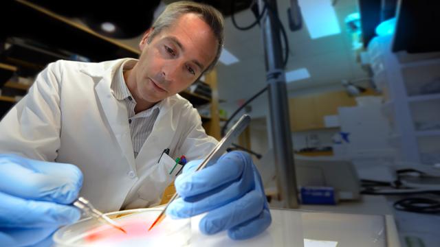 Dr. Eric Belin de Chantemele, Medical College of Georgia at Augusta University