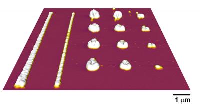 Chemical Properties of Polymer Nanostructures