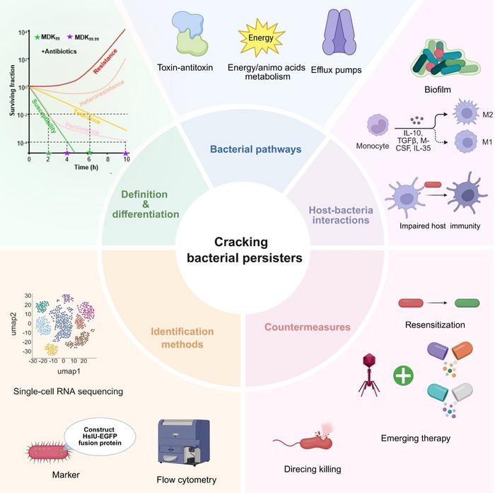 Cracking Bacterial Persisters