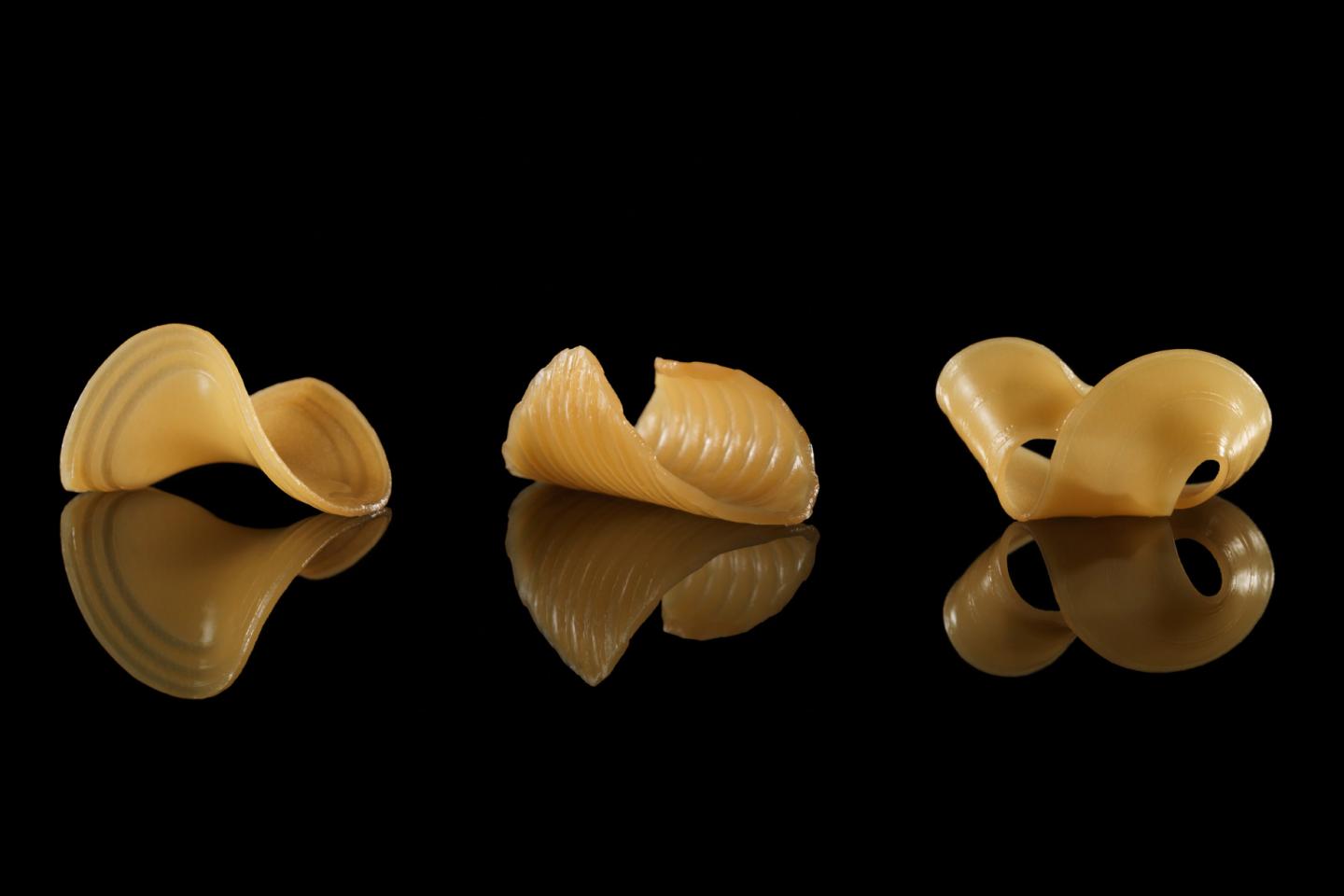 Shape-Changing Food
