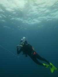 Diver Collecting Foraminifera