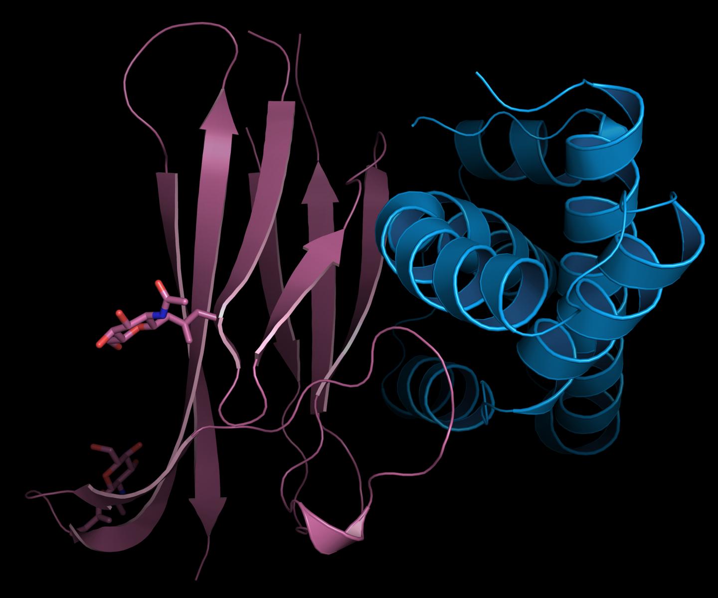 Crystal Structure