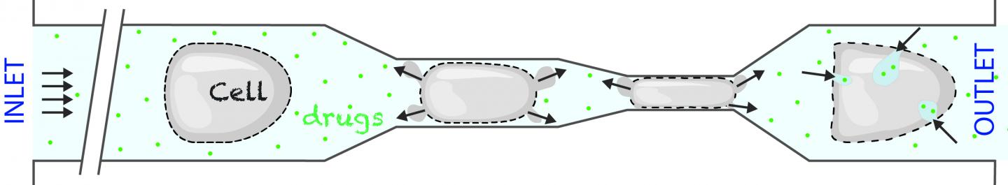 Cell stretching