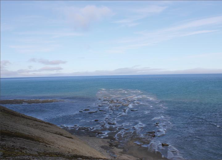 From the Field on Svalbard
