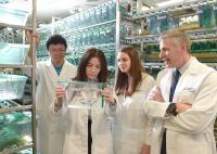 Zebrafish Team