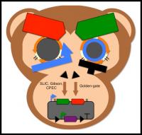 j5 Logo