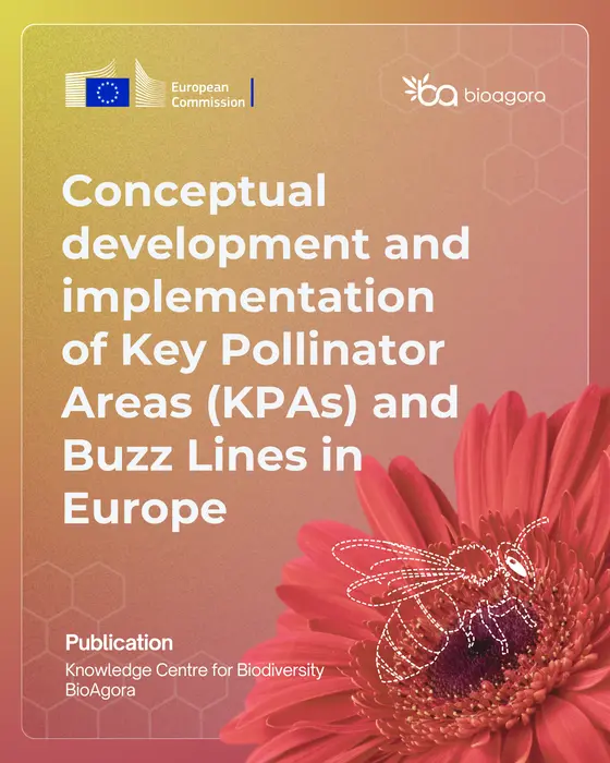 Conceptual development and implementation of Key Pollinator Areas (KPAs) and Buzz Lines in Europe