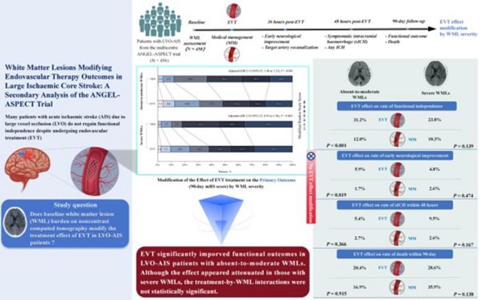 White matter lesions modifying endovascular therapy outcomes in large ischemic core stroke: A secondary analysis of the ANGEL-ASPECT trial