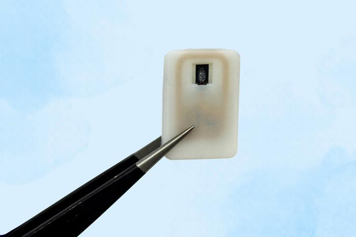 Implantable Device (1)
