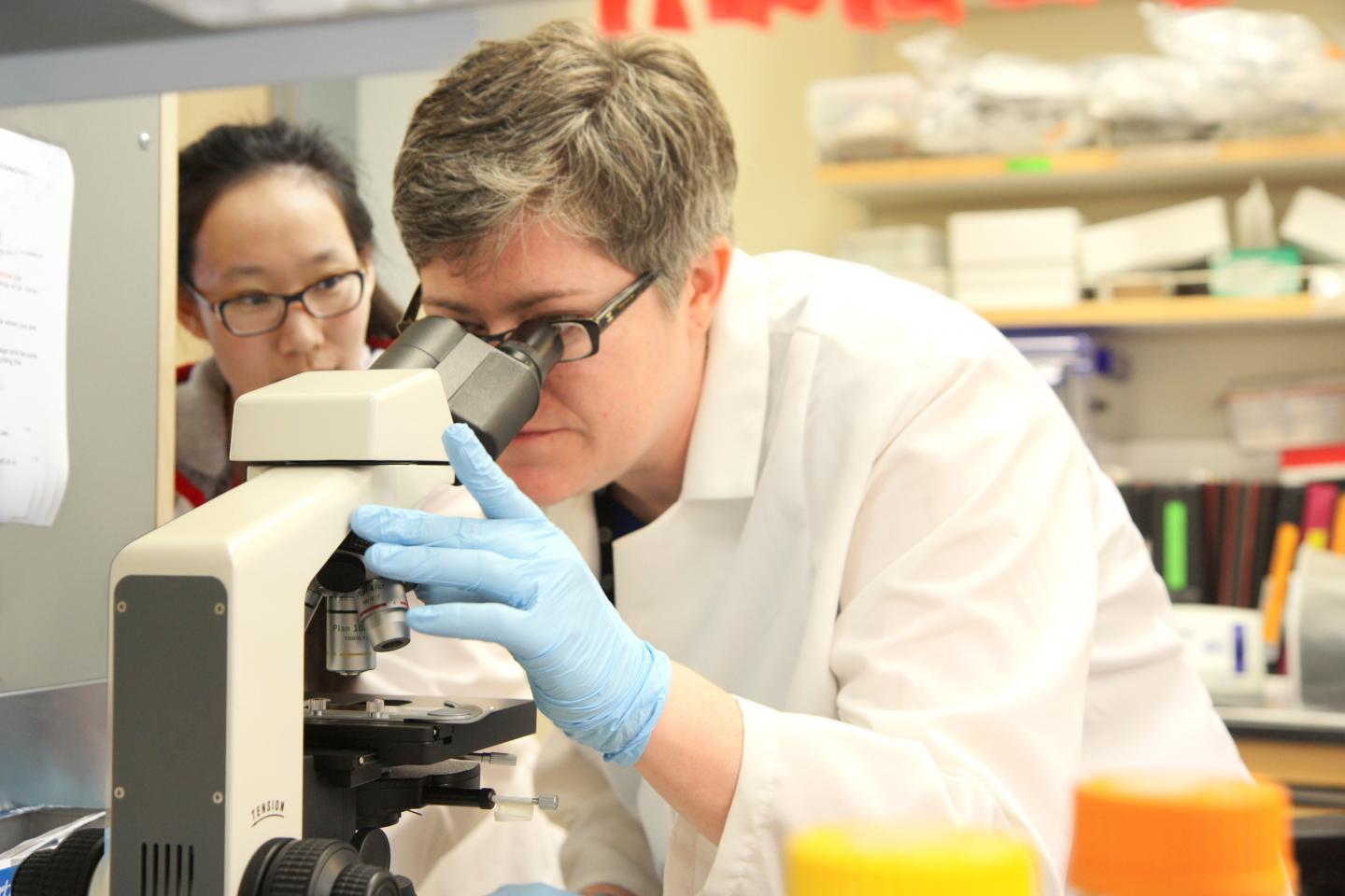 Biologist Investigates How Gene-swapping Bacteria Evade Antibiotics