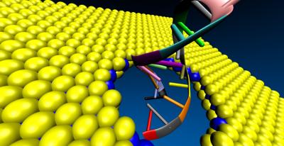 MoS2 Nanopore