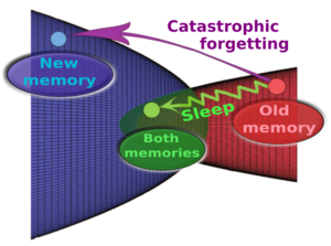 Graphic of Memories
