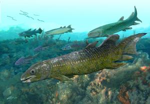 Illustration of Paleolopus