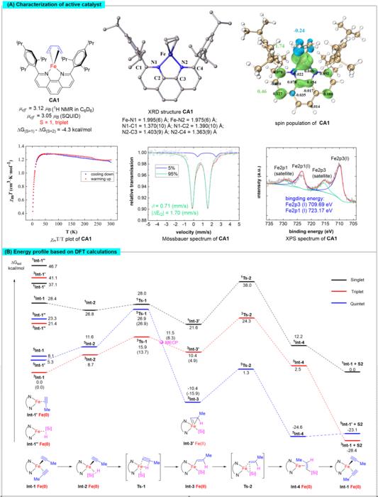 Synthesis and characterization of active intermediates and theoretical calculation of the reaction